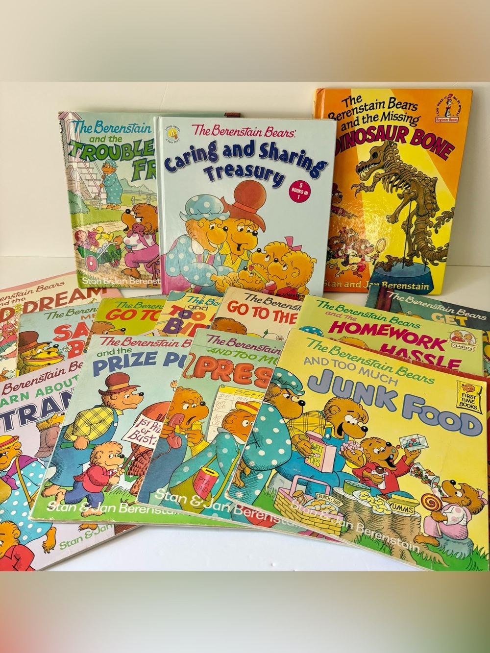 The Berenstain Bears Book Lot